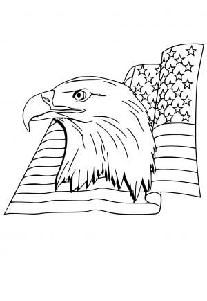 Amerikanska Flaggan
