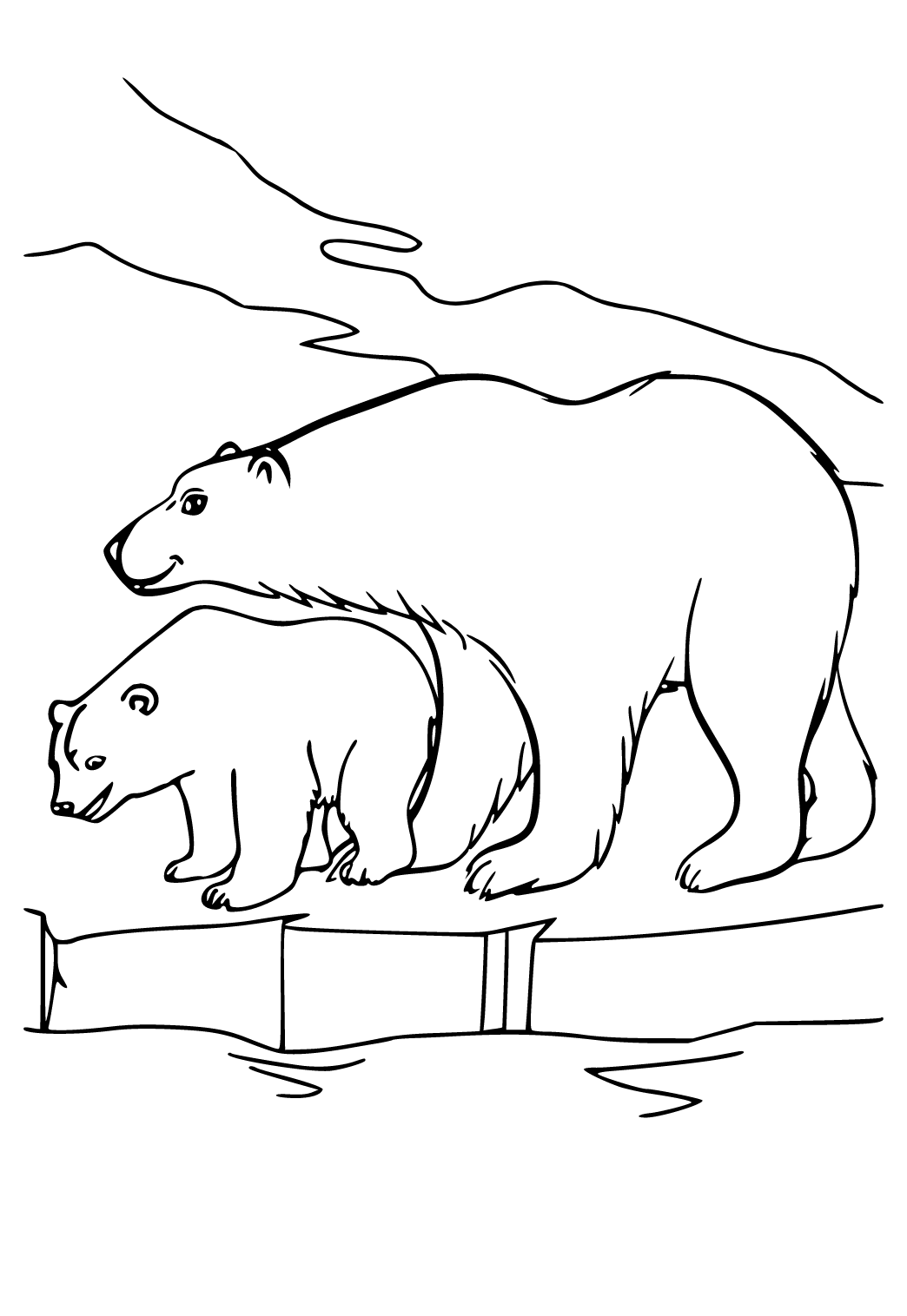 Beruang Kutub