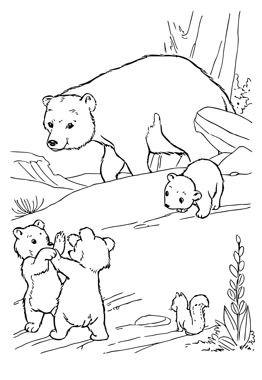 Lední Medvěd