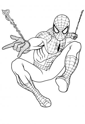  Dibujos e Imagenes Spiderman para Colorear y Imprimir Gratis para Adultos, Niñas y Niños