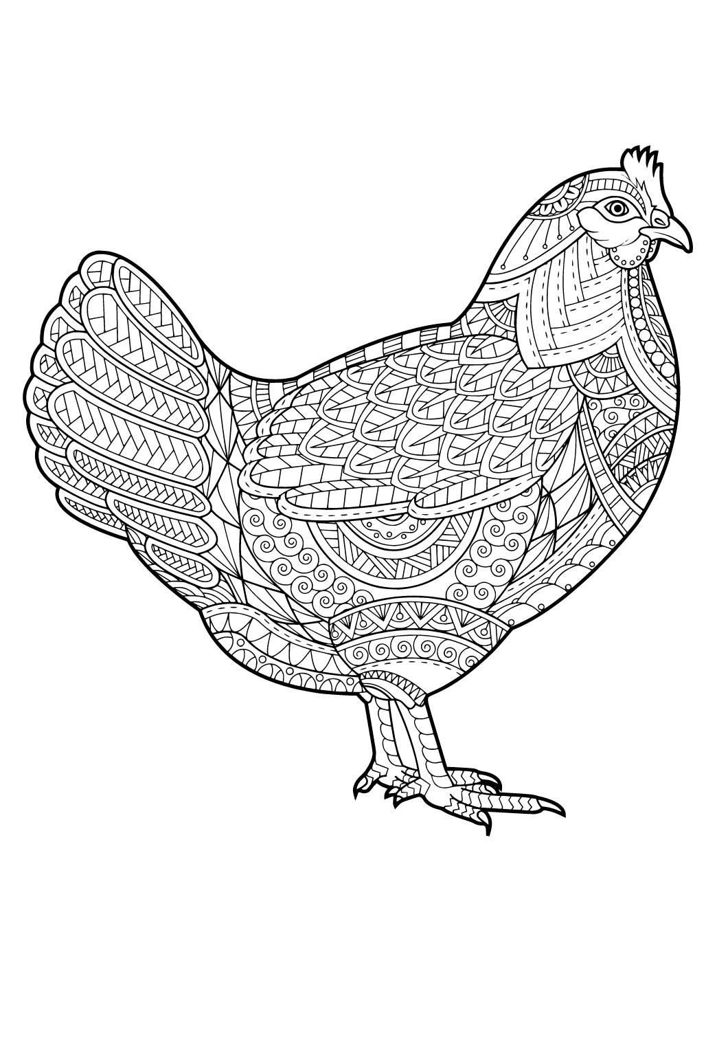 Ayam