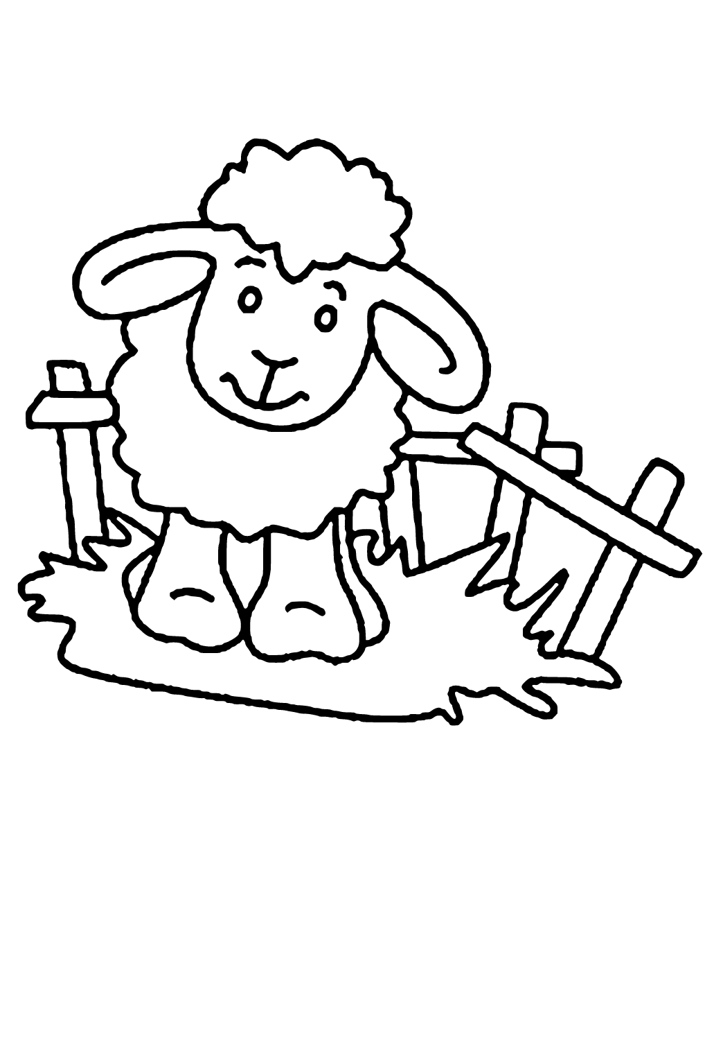 Овце