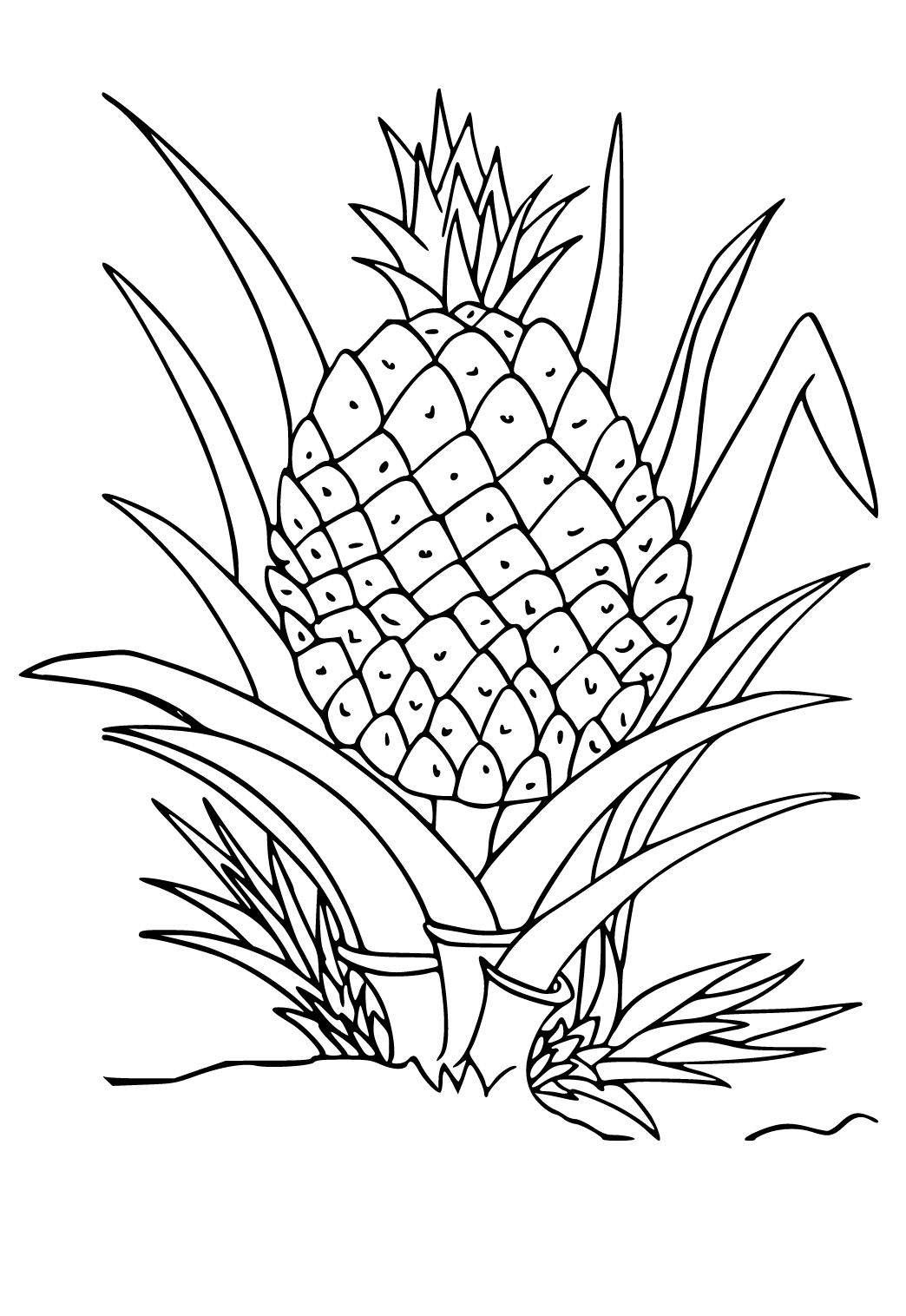 Ananasas