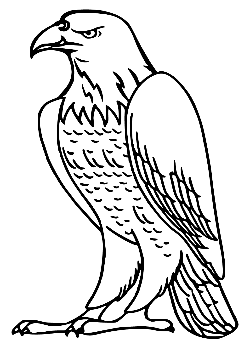 Dibujo e Imagen Águila Alas para Colorear y Imprimir Gratis para Adultos,  Niñas y Niños 