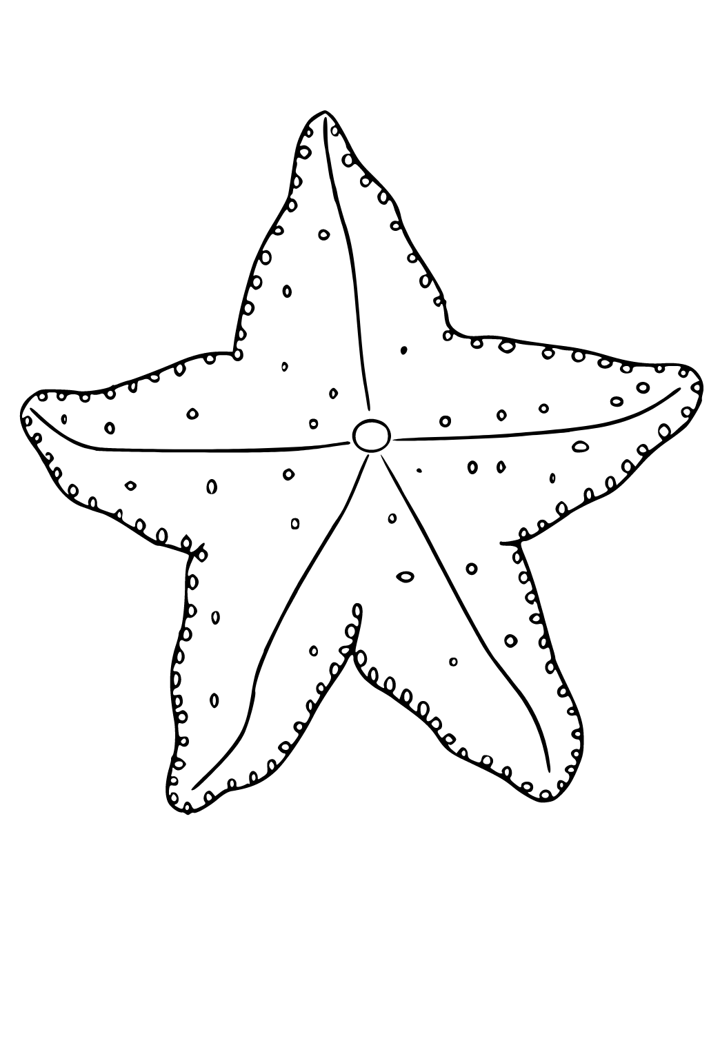 Morska Zvijezda