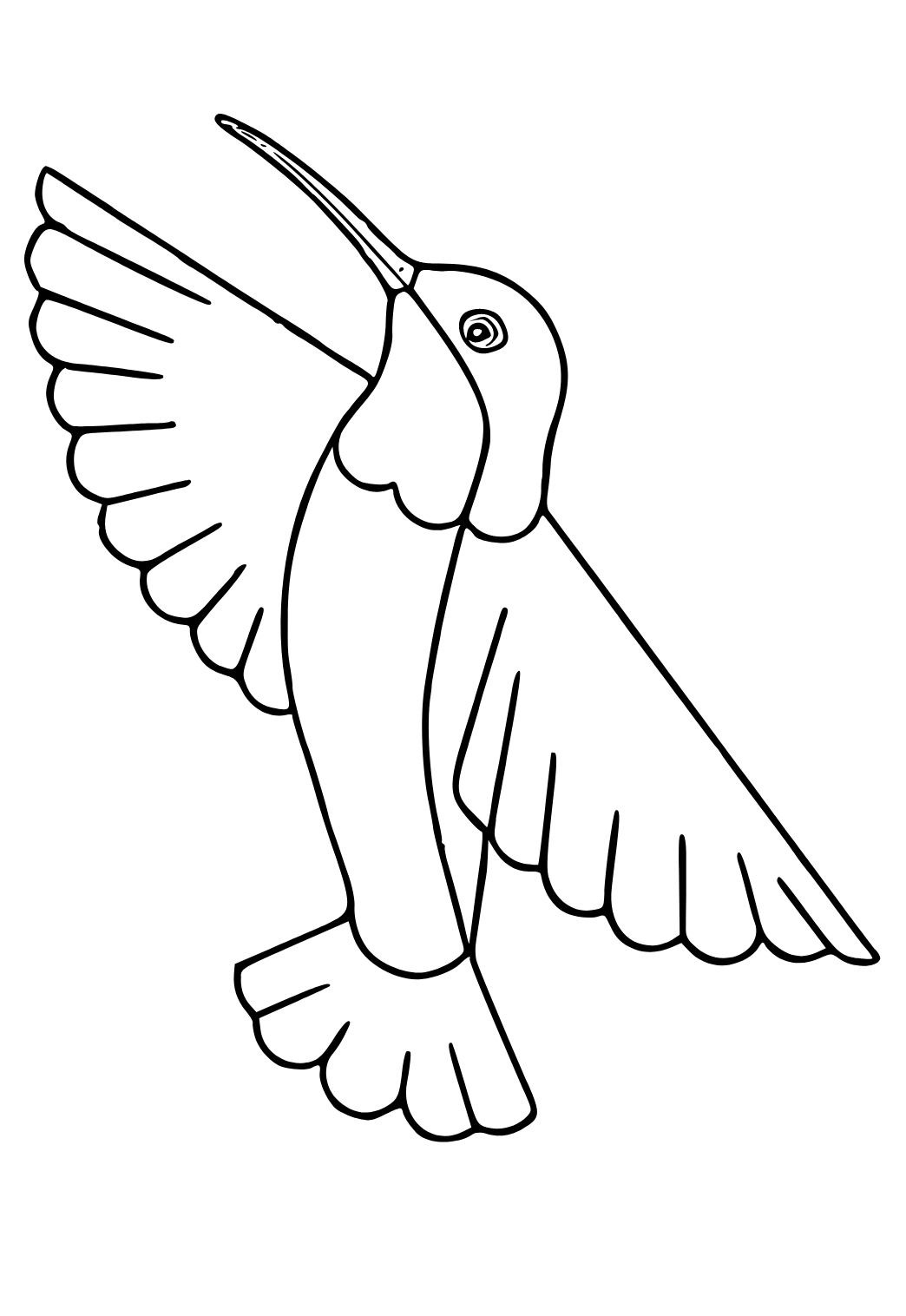 Burung Kolibri