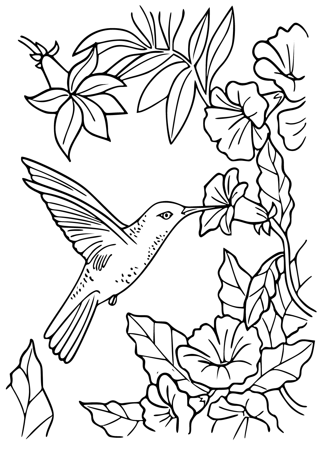 Kolibrić