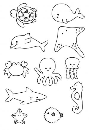 Deniz Hayvanları