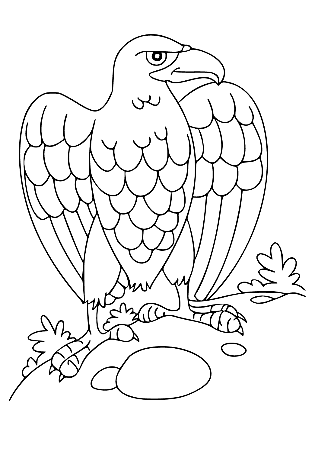 Vultur Pleșuv