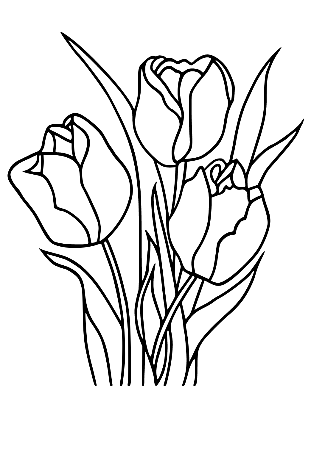VẼ HOA TULIPS CHO BACKGROUND - Cách mình vẽ và tô màu hoa #2 - YouTube