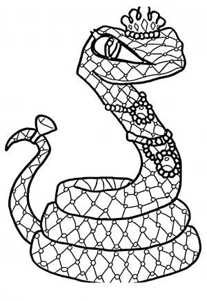 Φίδι