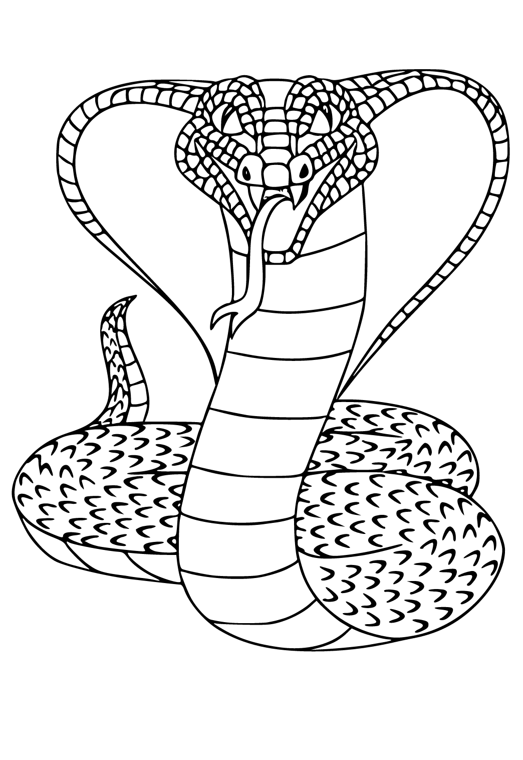 Rắn Vẽ King cobra Cobras  hình xăm con rắn png tải về  Miễn phí trong  suốt Đen Và Trắng png Tải về