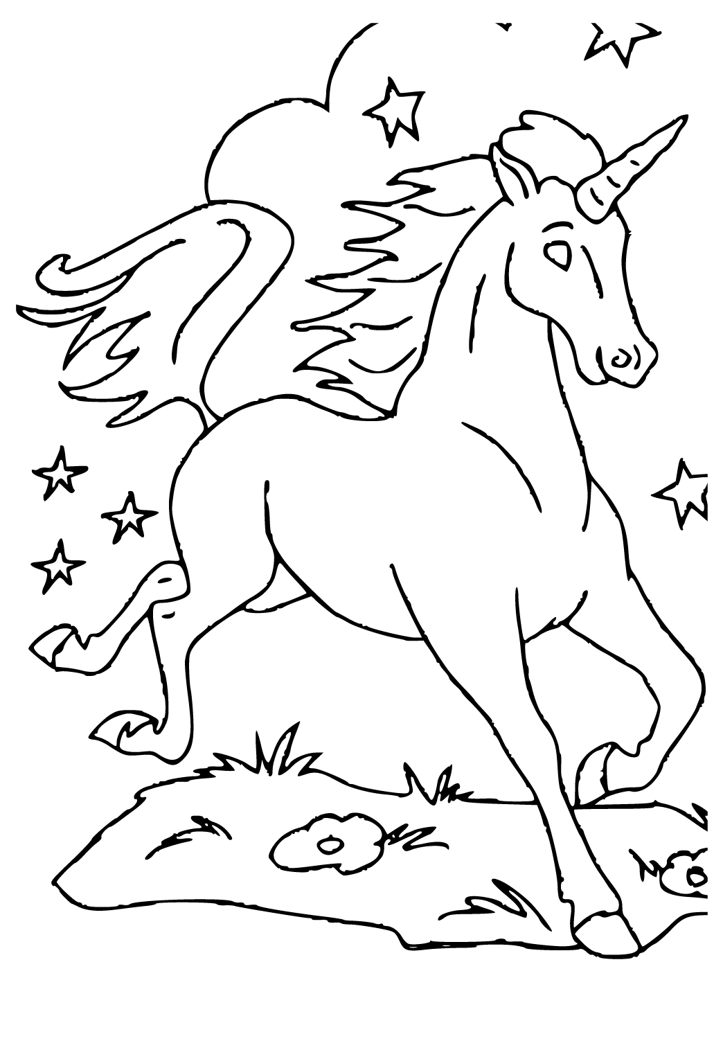 Eenhoorn Unicorn